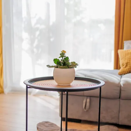 Sunny Flower Apartamento *