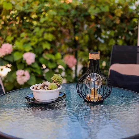 Apartment Sunny Flower